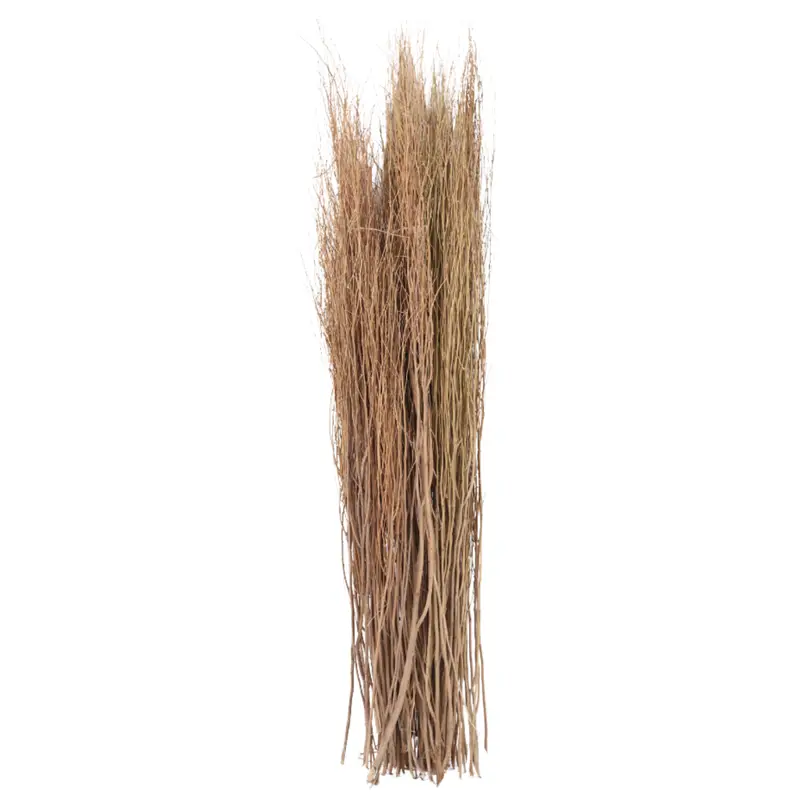 Lady Finger naturale