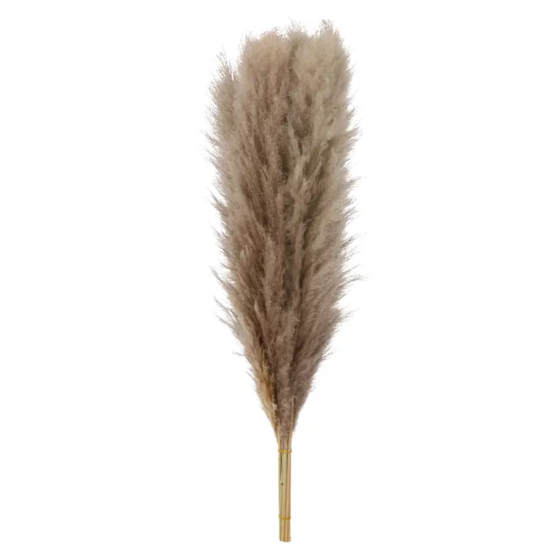 Pampa naturale