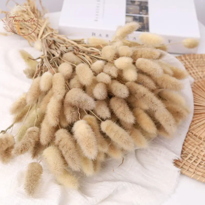 Coda di coniglio naturale